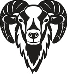 Coucours du Mouflon 2025